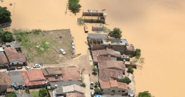Artigo: Fortes chuvas deixam 14 mortos no sul da Bahia