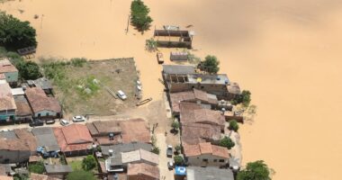 Artigo: 174 municípios já decretaram situação de emergência por causa da chuva