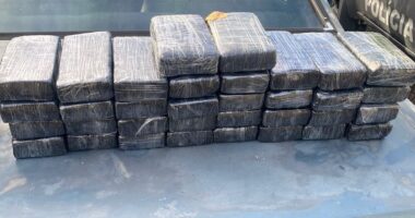 Artigo: Salvador: polícia apreende carga de cocaína avaliada em R$ 800 mil