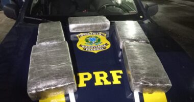 Artigo: Mulher é presa em flagrante com 21 quilos de maconha