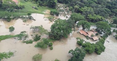 Artigo: Defesa Civil registra 20 mortes causadas pela chuva no sul da Bahia
