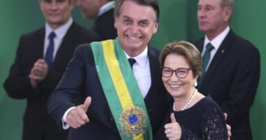 Artigo: Favorita para ser vice de Bolsonaro, Tereza Cristina prefere concorrer ao senado, diz coluna