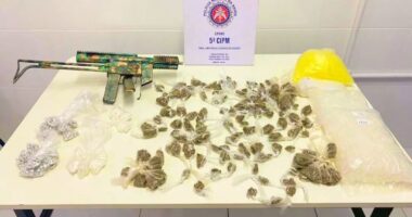 Artigo: Policia apreende metralhadora e 814 porções drogas em Mar Grande