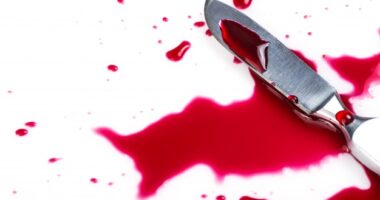 Artigo: Motorista de vereador esfaqueia esposa durante briga