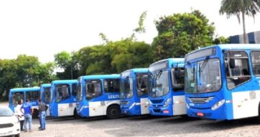 Artigo: Bruno Reis aumenta valor da passagem de ônibus em Salvador