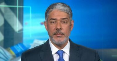 Artigo: Veja: Globo volta a liderar verbas publicitárias do governo Bolsonaro