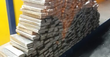 Artigo: Homem é preso com mais de meia tonelada de maconha na Bahia