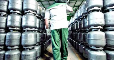 Artigo: Receita zera PIS/Pasep e Cofins incidentes sobre importações de GLP