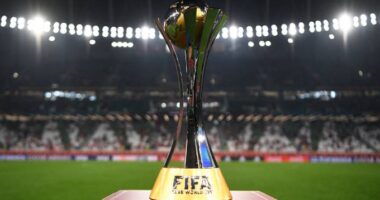 Artigo: Palmeira avança à final do Mundial de Clubes da FIFA