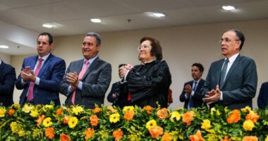 Artigo: Norma Cavalcanti é reconduzida à Procuradoria-Geral do MP-BA