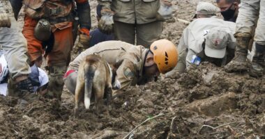 Artigo: Polícia diz que mais de 130 estão desaparecidos em Petrópolis