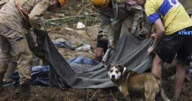 Artigo: Governo federal deve liberar quase R$ 500 milhões para desastres