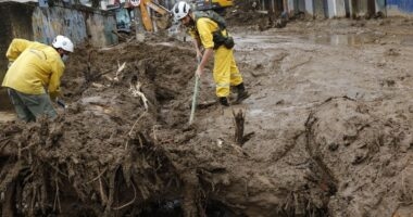 Artigo: Número de mortes em Petrópolis chega a 182; ainda há 89 desaparecidos