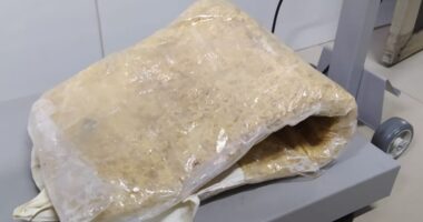 Artigo: Barreira: mulher é presa com levando 5 kg de cocaína amarrados ao corpo