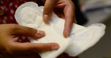 Artigo: Congresso derruba veto à distribuição de absorventes para estudantes