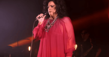 Artigo: Morre cantora Gal Costa aos 77 anos