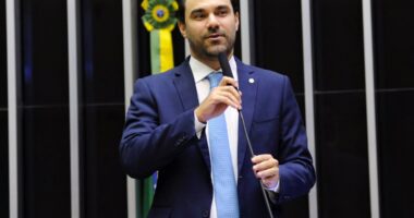 Artigo: Baiano avalia decisão da Justiça sobre eleição no PSDB; entenda