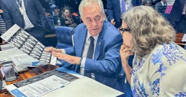Artigo: No Senado, Otto faz “consulta” para colega; entenda