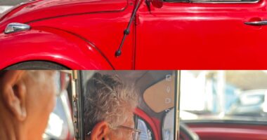 Artigo: Camaçari: Caetano reúne 11 mll internautas em live, e pré-campanha vira rererencia na Bahia