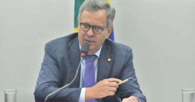 Artigo: Lula sanciona lei de deputado baiano que cria o selo sustentável para o cacau