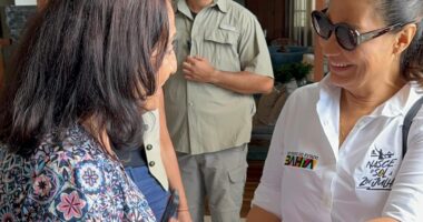 Artigo: Ana Rita Tavares pede o apoio de Janja para a causa animal em Salvador