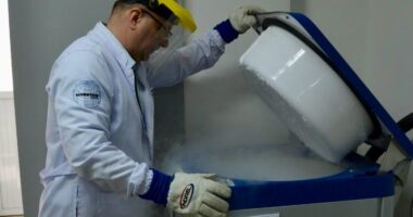 Artigo: Dia Nacional de Combate à Tuberculose: a importância do diagnóstico precoce