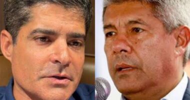 Artigo: Gato escaldado: aliados de ACM Neto ignoram pesquisa que o coloca à frente de Jerônimo