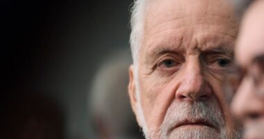 Artigo: Wagner critica decisão da Meta e alerta para impacto das fake news na democracia