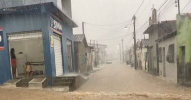 Artigo: Jerônimo coordena esforços para enfrentar chuvas na Bahia