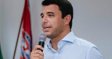 Artigo: Em decisão absurda, prefeito de Serrinha manda doar ou abater animais abandonados