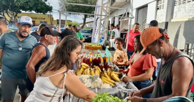 Artigo: Feira de Agricultura Familiar movimenta economia e cultura em Ibirapitanga