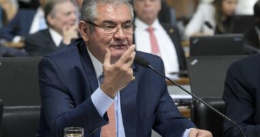 Artigo: Presidente da UPB defende chapa ‘puro-sangue’ do PT e diz que Coronel “já teve oportunidade”