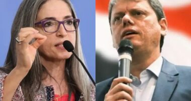 Artigo: Com Bolsonaro inelegível, Raíssa Soares defende Tarcísio candidato da direita em 2026