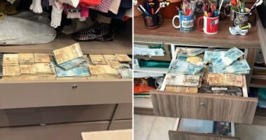 Artigo: Overclean: STF afasta servidores e PF realiza nova fase da operação em endereços de luxo em Salvador