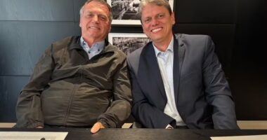 Artigo: Mirando 2026, Bolsonaro defende Tarcísio e encerra atritos com Eduardo