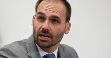 Artigo: Ministra de Lula chama Eduardo Bolsonaro de “traíra” e pede cassação de mandato