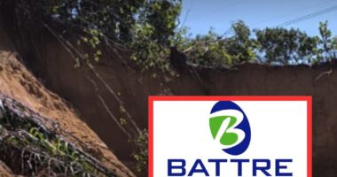 Artigo: Polícia indicia a Battre por crime ambiental em área de preservação em Salvador