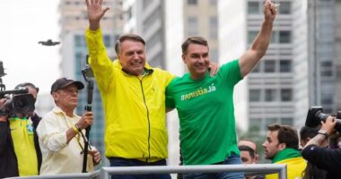 Artigo: Jair Bolsonaro escolhe Flávio como candidato à presidência, diz coluna