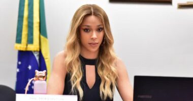 Artigo: Deputada leva denúncia contra Flávio Bolsonaro e Nikolas Ferreira ao MPF por “apologia ao golpe”