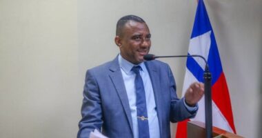 Artigo: Prefeitura de Simões Filho gasta mais de R$ 1 milhão em remoção de vegetação