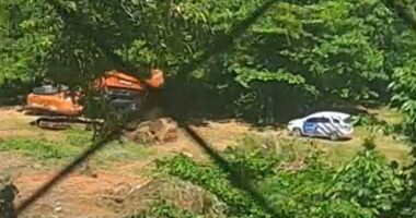 Artigo: Carro da Prefeitura de Salvador acompanha supressão de área verde no Candeal e assusta moradores