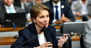 Artigo: Tereza Cristina diz estar preparada para ser vice em chapa com Flávio