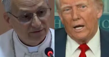 Artigo: Papa Leão XIV rebate Trump, defende mensagem de paz e diz não temer governo dos EUA