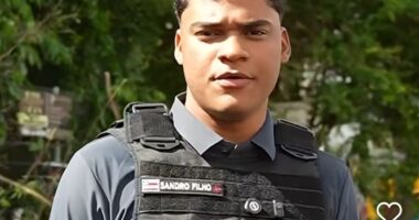 Artigo: Sandro Filho decide mostrar que trabalha e mostra árvore sendo podada em Salvador