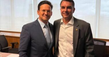 Artigo: João Roma minimiza queda em pesquisas e diz que Flávio Bolsonaro está “estabilizado”