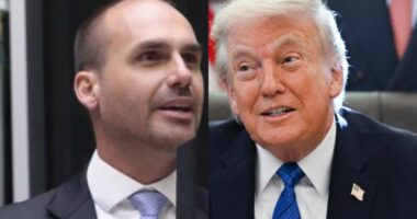 Artigo: Eduardo Bolsonaro diz que levará decisão do STF a autoridades dos Estados Unidos