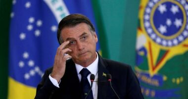 Artigo: Polícia Civil pede ao STF autorização para ouvir Bolsonaro sobre arma apreendida