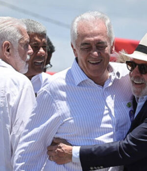 Artigo: 
