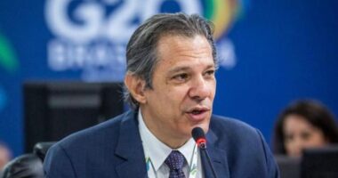 Artigo: Fernando Haddad chama candidatura de Flávio Bolsonaro de “grave risco institucional”